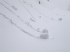 MK Winter11 Ed 018